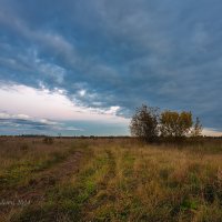 Осенний вечерний пейзаж :: Александр Синдерёв