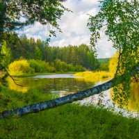 Осенний пейзаж :: Александр Ульныров