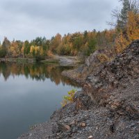 УГОЛОК ПРИРОДЫ ... :: Владимир Железнов