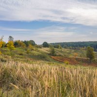 Палитра сентября... :: Владимир Жданов