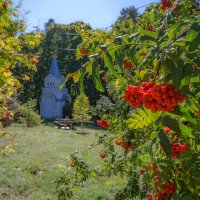 Здесь подставляя солнцу каждый бок, господствует рябинушка- царица... :: Наталья Димова