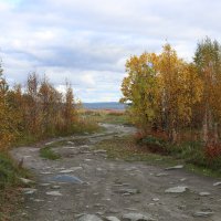 Неизведанными дорожками :: Ольга 