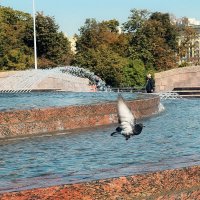 Пока есть, где водичку попить. :: Татьяна Помогалова