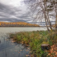 Вечерний бриз лесного озера. :: Николай Привалов