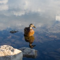 В Красноусольске :: Дарья Рогозина