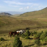 Самодостаточные ),глянул только малыш :: LudMila 