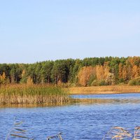 Осенний пейзаж :: Александр Щеклеин