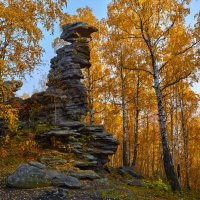 Вечереет в сентябрьском лесу. :: Юрий кот