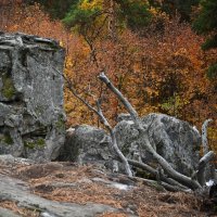 "Окаменевший Великан" и остатки его завтрака...))) :: Александр Беляков