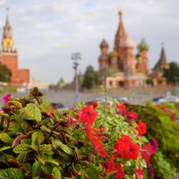 Цветы на Большом Москворецком мосту :: Сергей Беляев