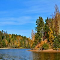 Осень. :: Александр Зуев