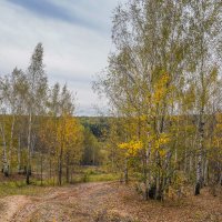 Палитра октября... :: Владимир Жданов