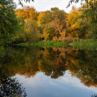 под огородами :: Виталий Емельянов