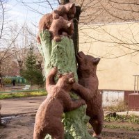 Семейка медведей в старом дворе :: Андрей Мичурин