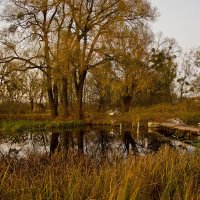 Вечерело :: Владимир ЯЩУК