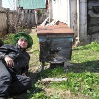Пчеловод :: Альфир Зиянгиров