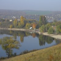 Взгляд птичий :: Виктор Носко