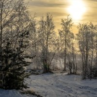 Кружева :: Василий Хорошев