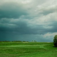 Одинокое дерево (Южно-Уральские просторы) :: Фарит 