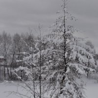 зима :: ЮЛИЯ КИРСАНОВА