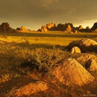 Монгольские пейзажи :: Дмитрий Сенотрусов