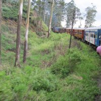 Шри-ланкийские железные дороги. :: Ирина Артемова