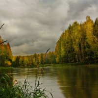 Река Шуя в сентябре_2 :: Наталья 