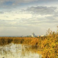 пригородный пейзаж :: Олег Сонин