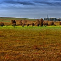 Островок лета. :: Валерий Молоток