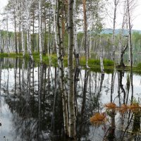 Озеро Тургояк :: Anna Gridshina