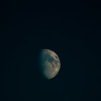 Растущая луна :: Ника Коренюгина