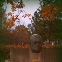 Памятник Яну Сибелиусу :: Екатерина Миронова