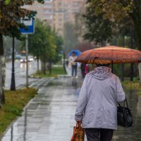 Вчера был дождь. :: Анатолий. Chesnavik.