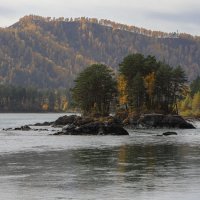 Осеннее...Катунь :: владимир 