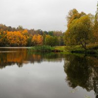 Пасмурный день октября :: Милешкин Владимир Алексеевич 