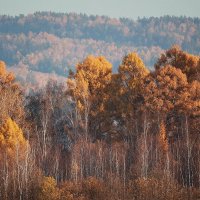 Багрец и золото... :: Владилен Панченко