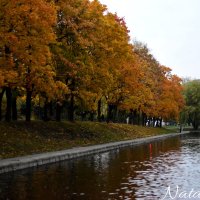 Буйство красок. :: Наталья Вязигина