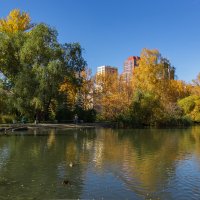 Фото. 2.10.2024.Екатеринбург.Золотая осень в Дендрарии на улице Мира :: Михаил Пименов