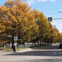 Ангарск Иркутской области. :: Галина Минчук