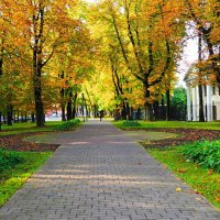 Золотая осень в городе :: Милешкин Владимир Алексеевич 