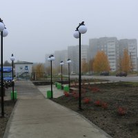 В туманном городе :: Ольга 