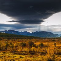 ... :: Евгений(Жора) Житников