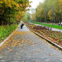 Осень в городском парке :: Милешкин Владимир Алексеевич 