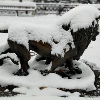 "Первый урок". :: Радмир Арсеньев