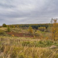 Палитра октября... :: Владимир Жданов