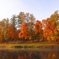 Осенние краски :: Владимир Тро