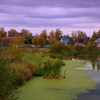 Сиреневый вечер... :: Нэля Лысенко