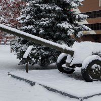 Артиллерия. :: Радмир Арсеньев