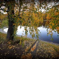 осень в городе :: Олег Лукьянов