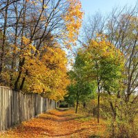 Дорога в осень :: Андрей Снегерёв